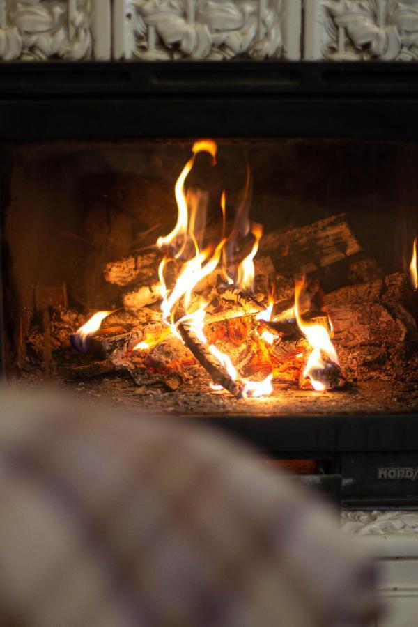 Flat In Cottage Close To The Centre Parking, Wifi, Bbq Leópolis Exterior foto